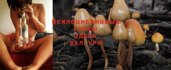 сатива Балабаново