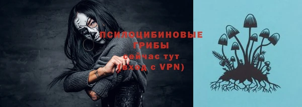 сатива Балабаново